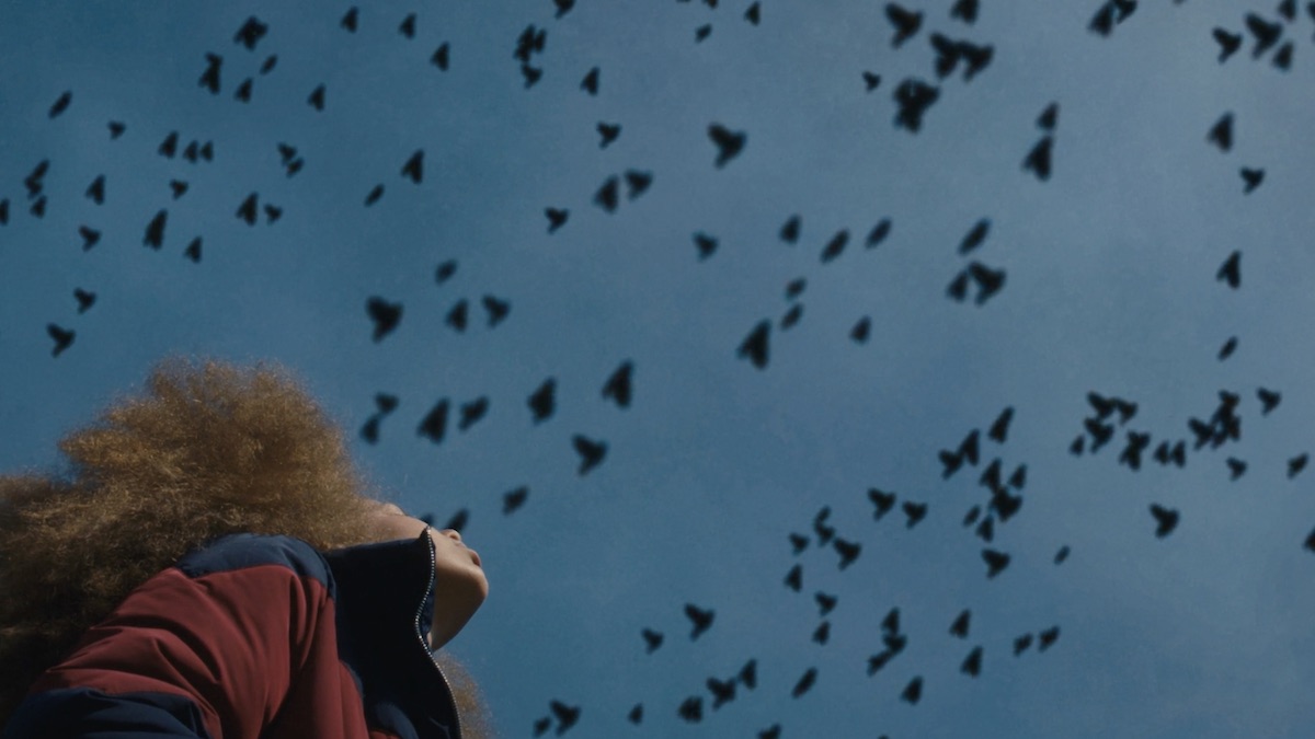 NoBudge's tweet photo. 📽️ Now Showing: BROKEN BIRD // A biracial girl caught between two worlds prepares for her Bat Mitzvah and adulthood. Directed by Rachel Harrison Gordon (@RachelRHG). https://t.co/s5F0xXoRuZ https://t.co/toKDkNfp7N