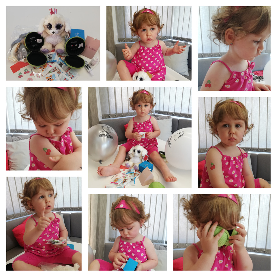 STUDEX of Europe tweet media