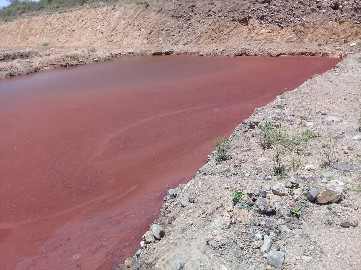 laminuta's tweet photo. Minera Cuzcatlán contamina agua en Valles Centrales por segunda vez en dos años #OaxacaVsMineria
https://t.co/xIClVGvc3u https://t.co/qREDdriPvx