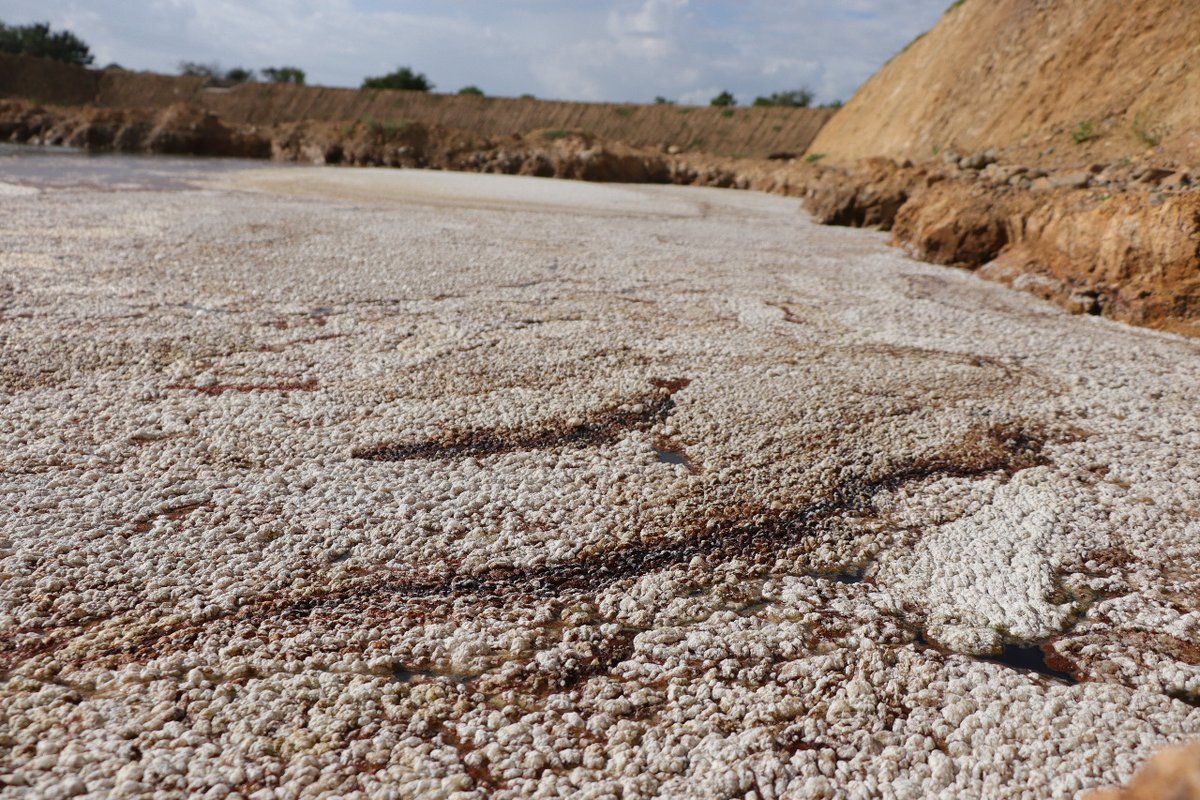 laminuta's tweet photo. Minera Cuzcatlán contamina agua en Valles Centrales por segunda vez en dos años #OaxacaVsMineria
https://t.co/xIClVGvc3u https://t.co/qREDdriPvx