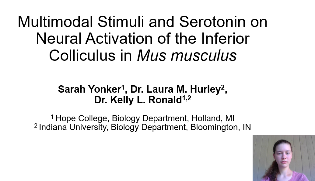 KellyLRonald's tweet photo. My student, Sarah Yonker, is presenting her hard work at the virtual #ABS2020 meeting this week. Way to represent the #RonaldLab and #HopeBio, Sarah! https://t.co/fsiKxed4xV