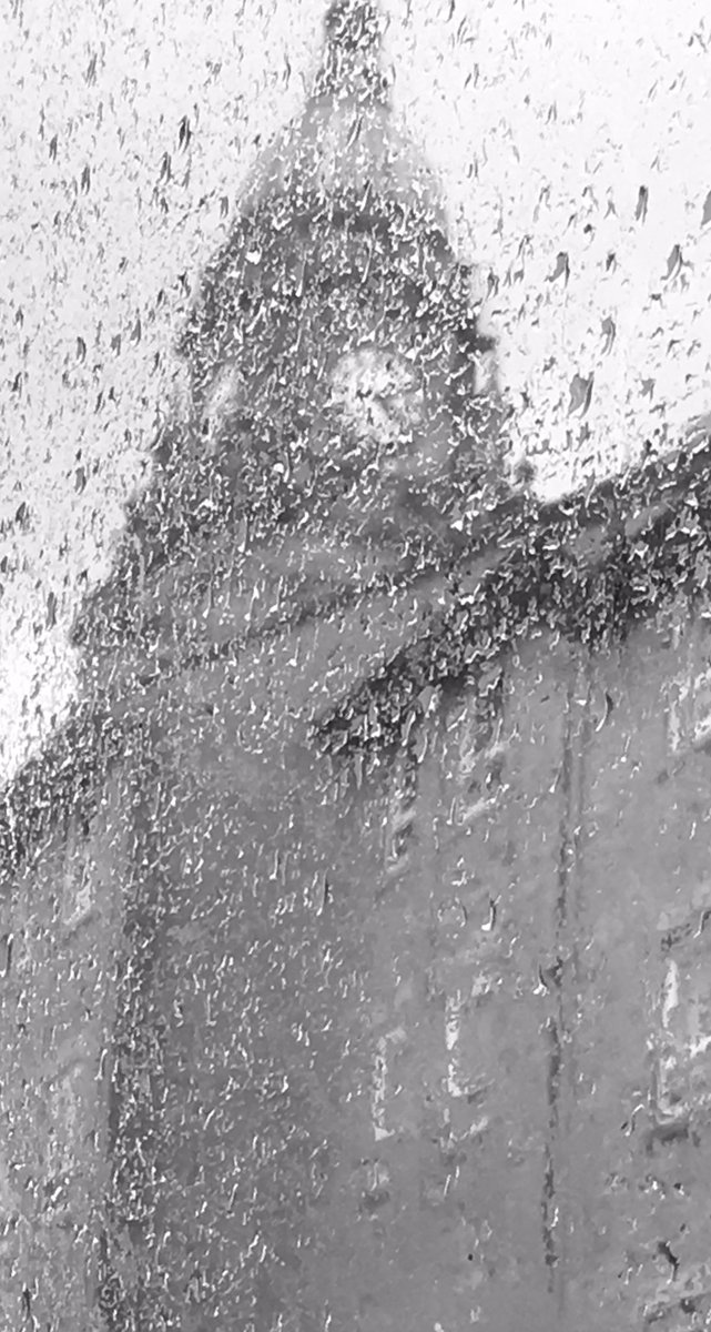 hazypets's tweet photo. #Morleylife #rain #pavement and #buswindow #random x https://t.co/8SbvWoztFo