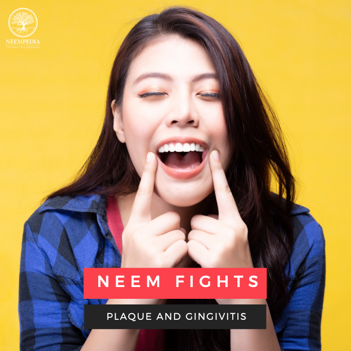 Neempedia's tweet photo. Neem may help fight plaque buildup and prevent gingivitis, several studies suggest. In a 2017 study, 20 subjects were given mouthwash with either chlorhexidine gluconate, a substance commonly used to prevent gum disease, or neem. Learn more at https://t.co/elwzRqqtmc! https://t.co/mpqTJxW2m5