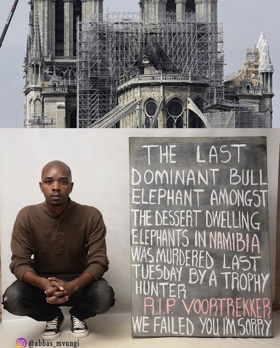 Tweets4Vegans's tweet image. #BanTrophyHunting 

#HuntingIsNotConservation 

#vegan