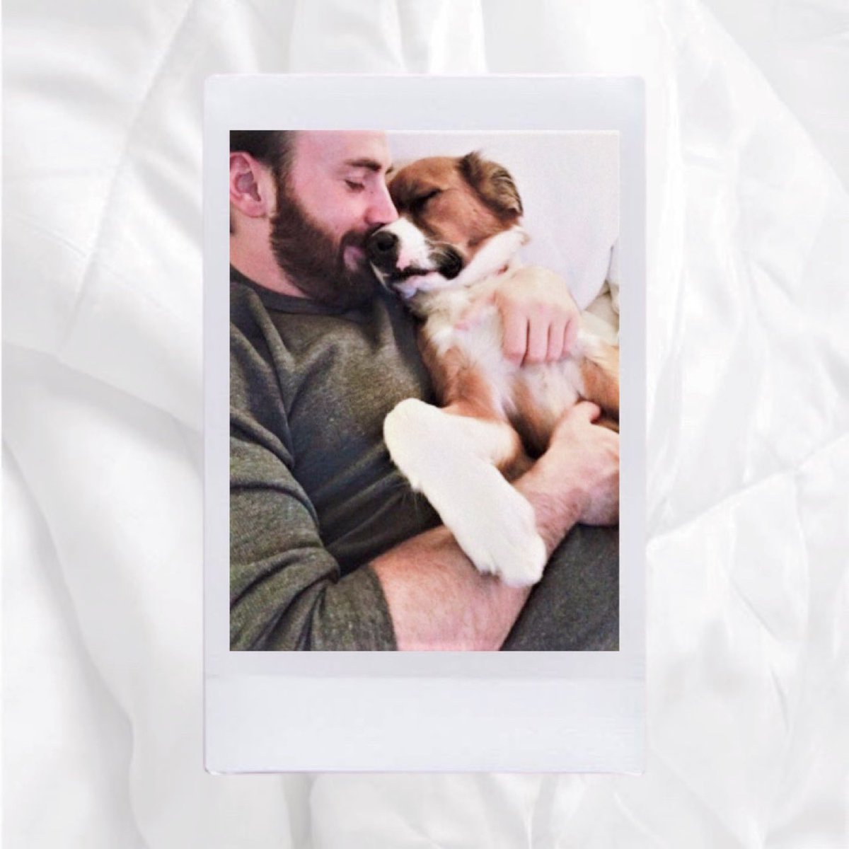 your polaroids if chris evans was your boyfriend — 𝒂 𝒕𝒉𝒓𝒆𝒂𝒅 