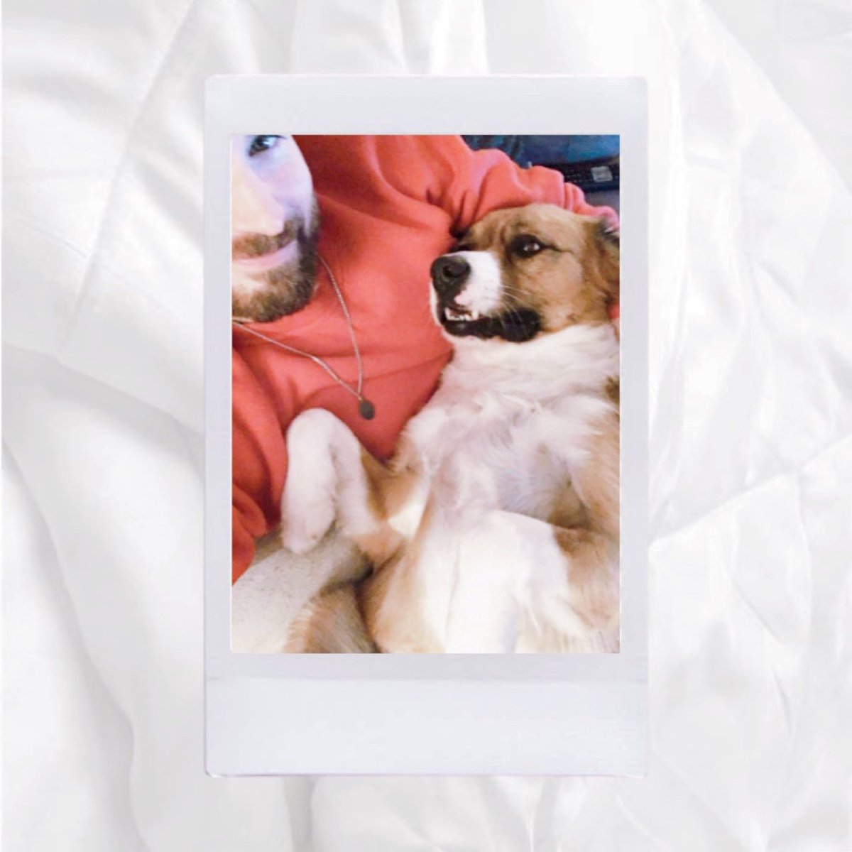 your polaroids if chris evans was your boyfriend — 𝒂 𝒕𝒉𝒓𝒆𝒂𝒅 