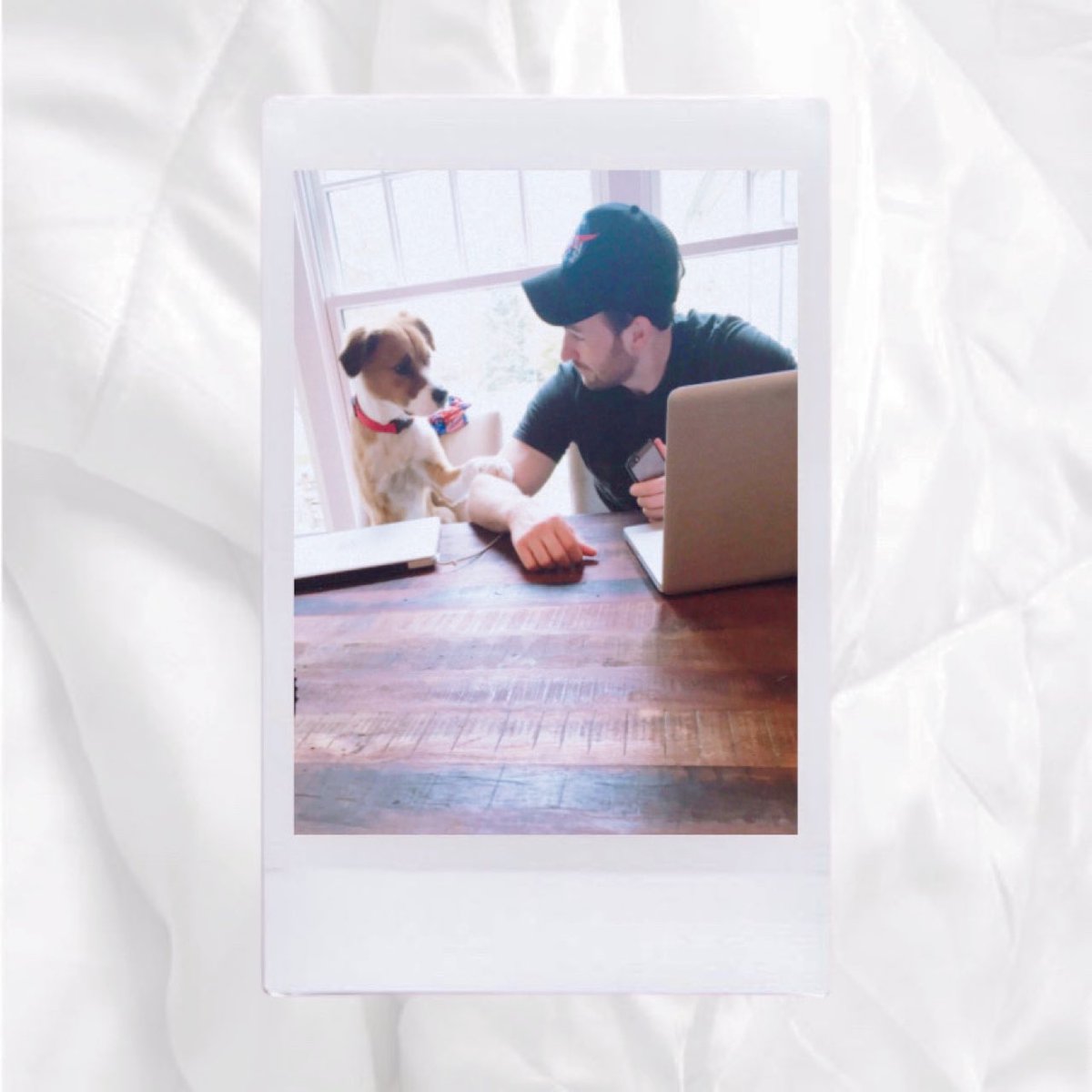 your polaroids if chris evans was your boyfriend — 𝒂 𝒕𝒉𝒓𝒆𝒂𝒅 