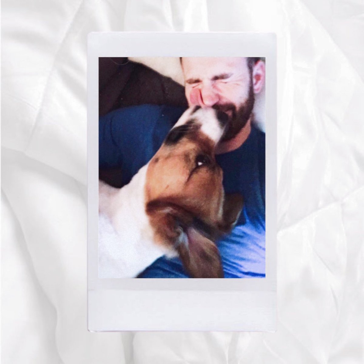 your polaroids if chris evans was your boyfriend — 𝒂 𝒕𝒉𝒓𝒆𝒂𝒅 