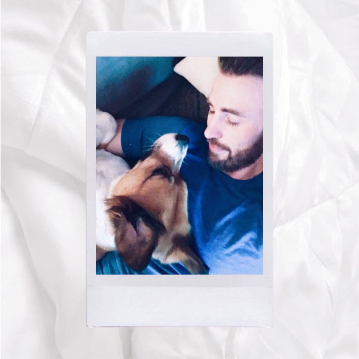 your polaroids if chris evans was your boyfriend — 𝒂 𝒕𝒉𝒓𝒆𝒂𝒅 