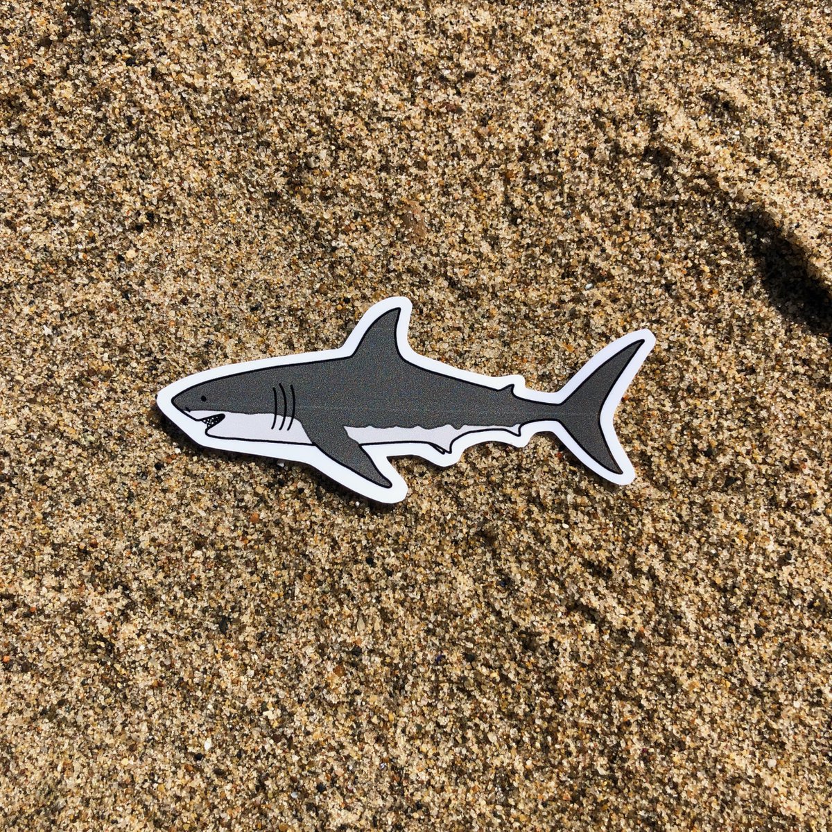 SharkAllies's tweet photo. Our Allies, and fellow Angelenos, at Gaming Whale Press have just launched their White Shark sticker! Proceeds support the Shark Allies mission to #RespectNotFear our #GuardiansOfTheOcean, sharks. Many more fun packets to come 🙃 https://t.co/eS5aTDcb8g https://t.co/eMYJkJ5wTC