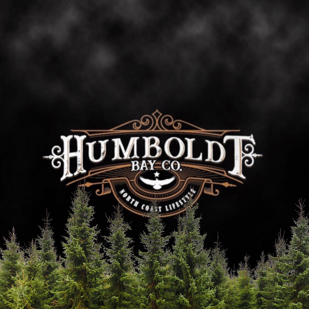 Victorumcorp's tweet photo. The beginning starts, now! 

Only $10k minimum required. We accept 401k, Bitcoin, Gold, Cash, Check, etc. You must be an accredited investor! 
Contact Acy Crawford at acy.c@victorumcorporation.com 
#marijuanainvesting #humboldtbayco #cannabis #makemoney #investorswanted https://t.co/WMyTPhX6wU