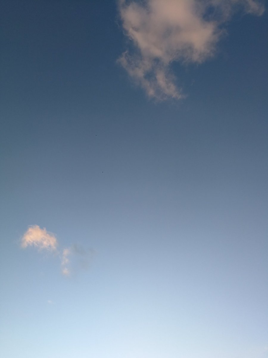 trulyhilarias's tweet photo. I've been missing my sun a lot these days...
#ttskygallery https://t.co/UYTZri0Zxd
