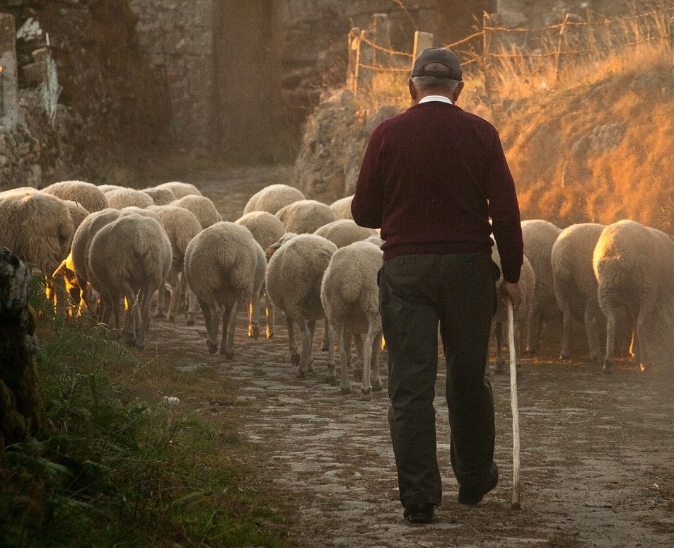 TSConnected's tweet photo. Free #webinar - Mental Health &amp; Wellbeing in Farming. Join us for an evening of talks about #mentalhealth &amp; #wellbeing support for the #farming community, Fri 31 July 6-8pm. 
You can join anonymously if you wish. No need to contribute, just listen in
https://t.co/ZhgnTrBk2U https://t.co/OwiojJjWzD