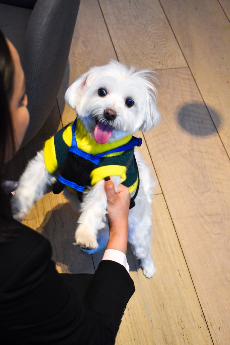 WWRittenhouse's tweet photo. Unleash the fun with your pooch by your side. https://t.co/1eEIlWwl7j