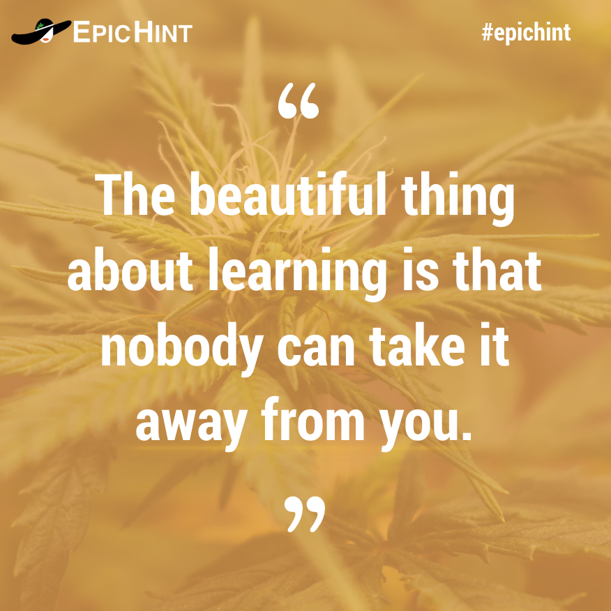 EpicHint's tweet photo. The more you learn the more you grow. 

Knowledge is too valuable to be hoarded. 

Need help getting started with your #cannabis career or taking the next steps in your cannabis career? Contact us >> https://t.co/3WLklczXcw 
#epichint #cannabisjobs #budtender #budtendertraining https://t.co/RijV6tjSJP