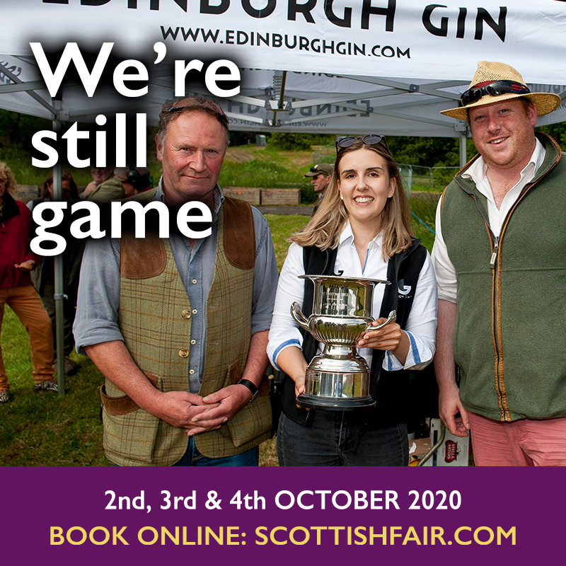 ScotGameFair's tweet photo. The team are working on changes to the Members' Marquee for this year's Fair. We can't wait to see you all 😎 #werestillgame #gamefair #SGF2020 https://t.co/KNSJU9th4k