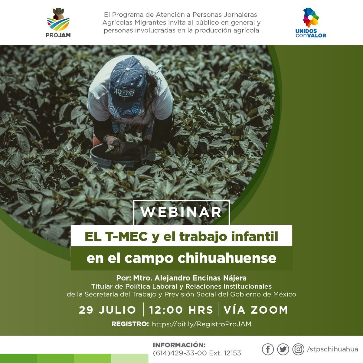 stpschihuahua's tweet image. 🌾 Te esperamos en el WEBINAR: El T-MEC y el trabajo infantil en el campo chihuahuense, organizado por el Programa de Atención a Personas Jornaleras Agrícolas Migrantes #ProJAM del @GobiernoEdoChih.

Registro: bit.ly/RegistroProJAM

#UnidosConValor