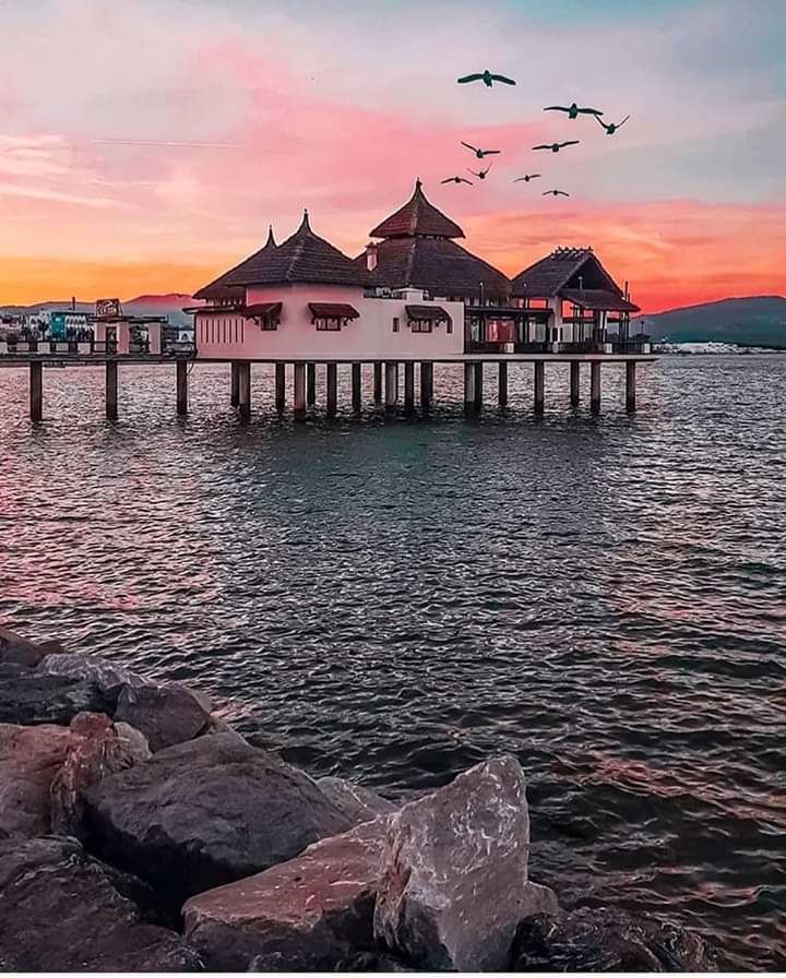 مساء سعيد كأنه عيد
مساكم الله بالخير جميعاً ♥️🌹🌹