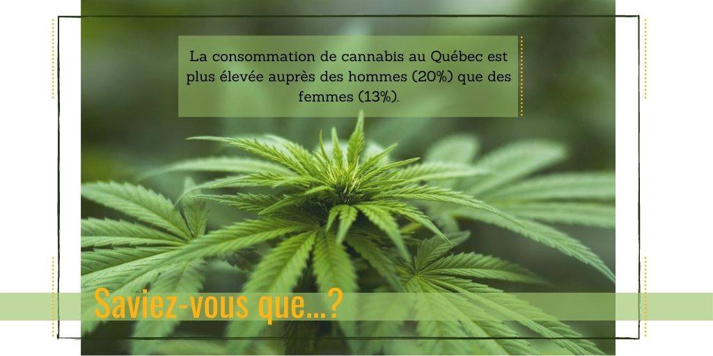 WorldWideWeedQC's tweet photo. Saviez-vous que...

Au Québec, les hommes sont proportionnellement plus nombreux à consommer du #cannabis que les femmes.
Qu'est-ce qui explique cette différence selon vous?

Source: Statistiques Canada https://t.co/vNst9N9sUT