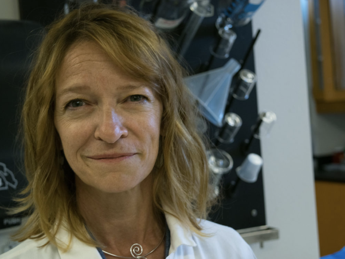 Colorado State University Center for Healthy Aging tweet media