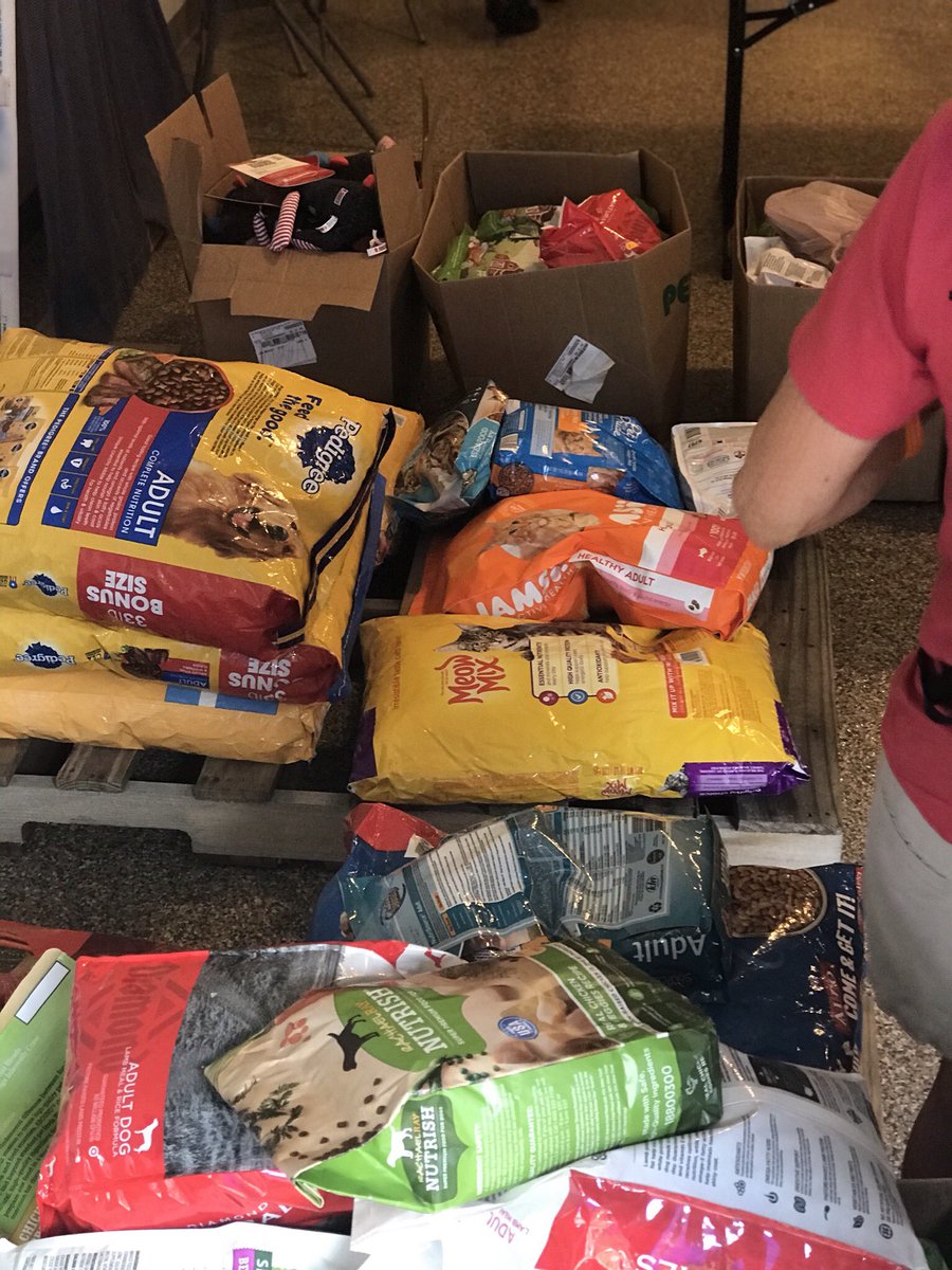 Toledo_PD's tweet image. Last stop on the Dia Drive is at the Lucas County Pit Crew. The puppies were waiting to meet the Dia Family and TPD - thank you to everyone who donated! All puppies you see here will be up for adoption!  #DiaDrive2020 @LCPitCrew