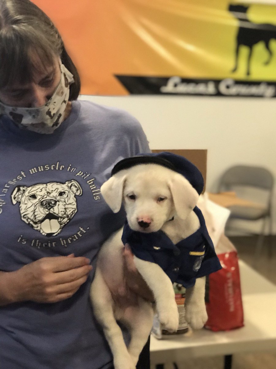 Toledo_PD's tweet image. Last stop on the Dia Drive is at the Lucas County Pit Crew. The puppies were waiting to meet the Dia Family and TPD - thank you to everyone who donated! All puppies you see here will be up for adoption!  #DiaDrive2020 @LCPitCrew