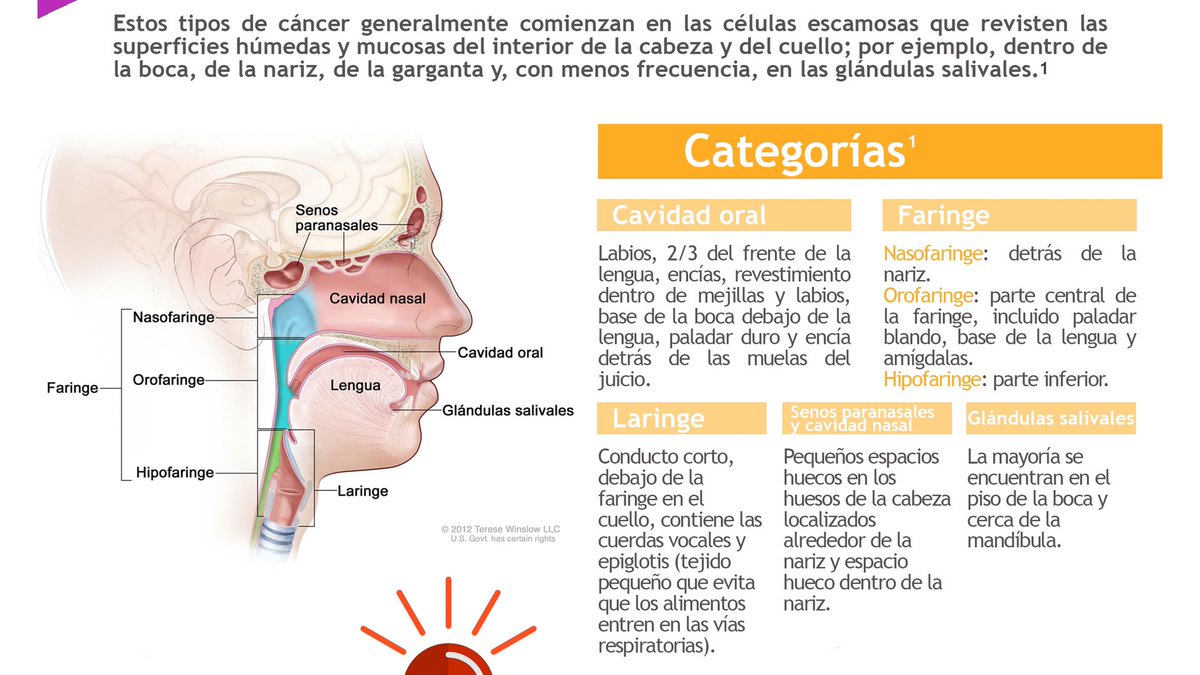 drcoronacruz's tweet photo. 2. Son un grupo de tumores que se originan en el epitelio que cubre las superficies mucosas del área de la cabeza y el cuello.
#WHNCD2020 #WHNCDay2020 #CancerCabezayCuello 👇🏽 https://t.co/3vQCSddMuQ