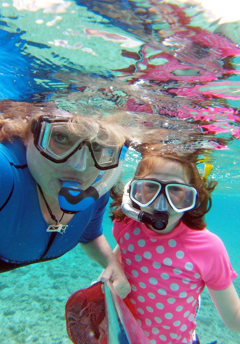 TravelwithTam's tweet photo. KIDS CAN MAKE A DIFFERENCE! Inspiring Kids in Diving: PADI AmbassaDiver Luca Hales https://t.co/7uJUa4M5sQ #kids #makeadifference #homeschooling #diving #scubadiver #savetheocean #allfishfaces #homeschoolscience #sciencerocks @PADI #teachathome #virtuallearning https://t.co/30E2KBkFA4