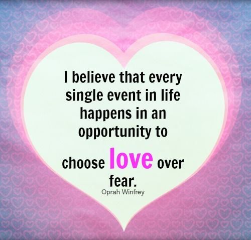 Tracy Vineyard tweet media