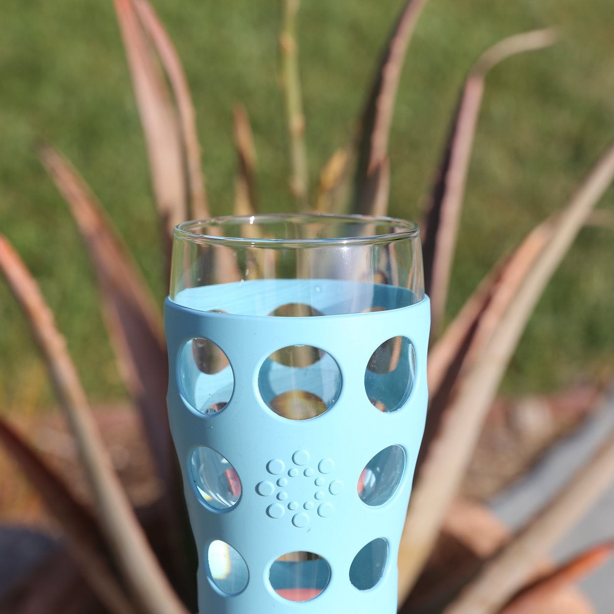 Lifefactory's tweet photo. It’s time to ditch your single-use plastic cups and Go Glass®. 

#Lifefactory #saynotosingleuse #plasticfreejuly https://t.co/xU90xRXBtV