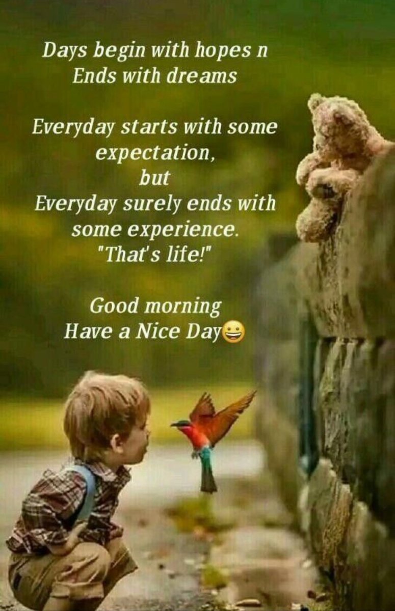 TheFriendIyGuy's tweet photo. Here is hoping and praying, that this, is the start of a beautiful week for all of you. https://t.co/DNCbsdsPbD