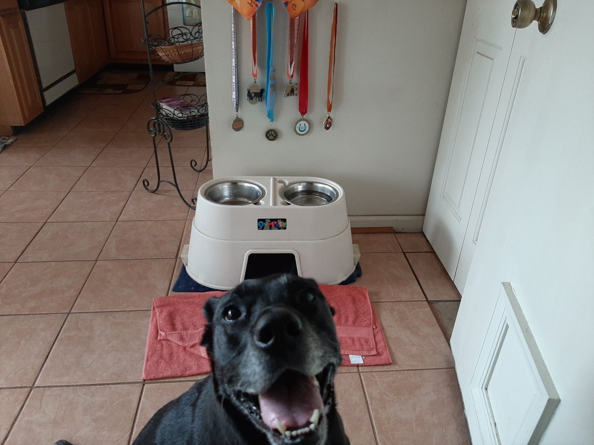 teachrandrunnr's tweet photo. July - The Dog Days of Summer completed 5K #RunDogDays5k https://t.co/MnZelF8tQ3