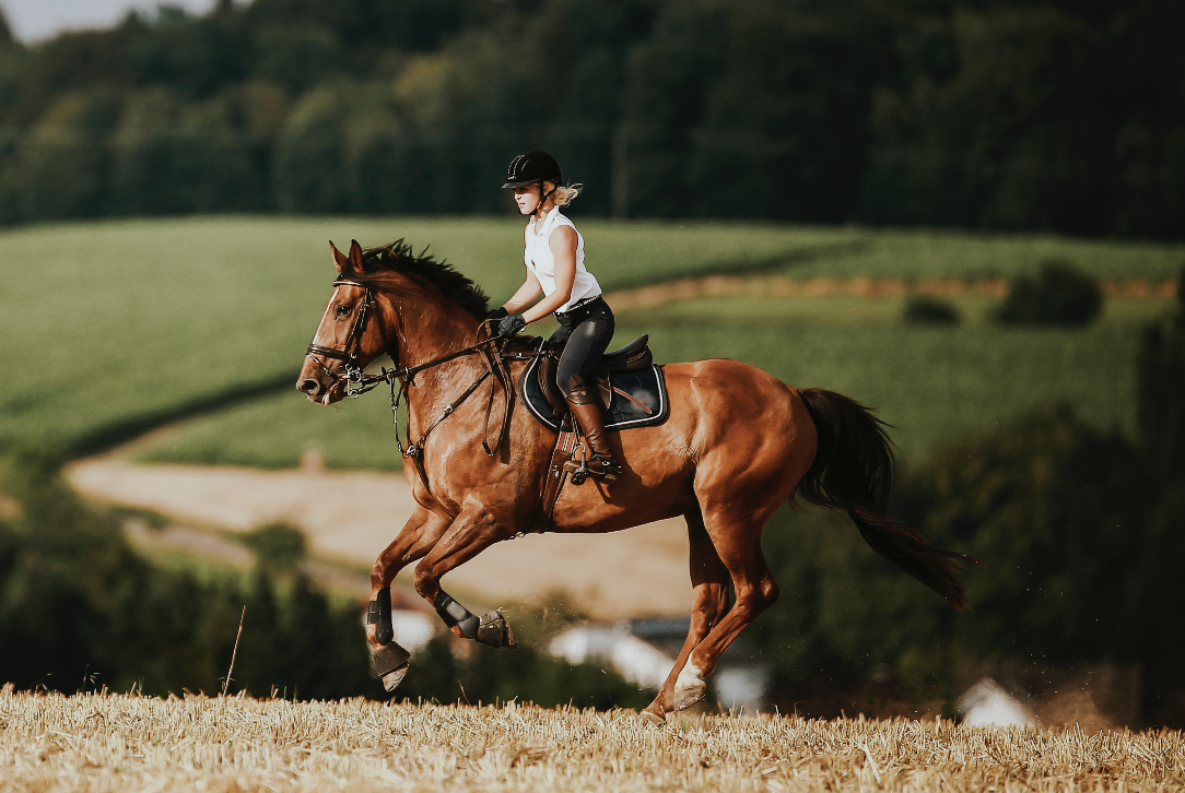 You don't always feel comfortable when riding out alone? 
With Equilab Premium you have the opportunity to be followed by your loved ones during the ride until you have safely returned to the stable 🐴🧡