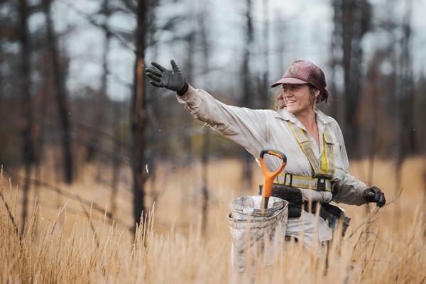 We support reforestation projects all over the globe. Where would you like to plant a tree?🌲🌿 onetreeplanted.org/pages/regions