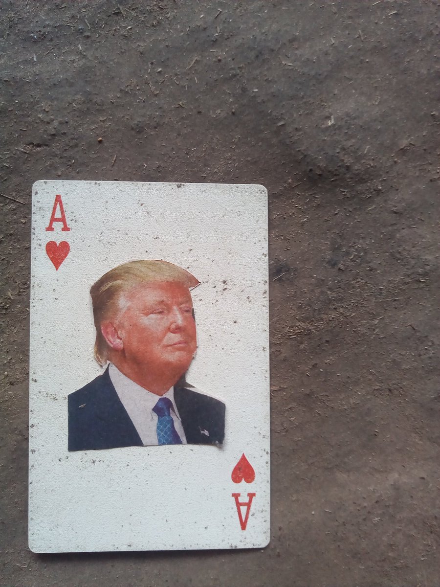2020.....President....u must used Trump Card.......