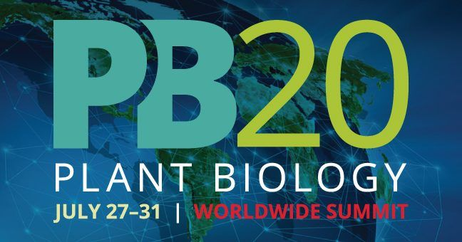 jdieramon's tweet image. My talk for the Plant Bioinformatics Resources on 07/29 11:40 am (EDT) : "Automated Clustering of Plant Gene Families from @NCBI Databases" #PlantBio20 . Hit me any questions at the live Q&amp;amp;A ! github.com/NCBI-Hackathon… #geneHummus