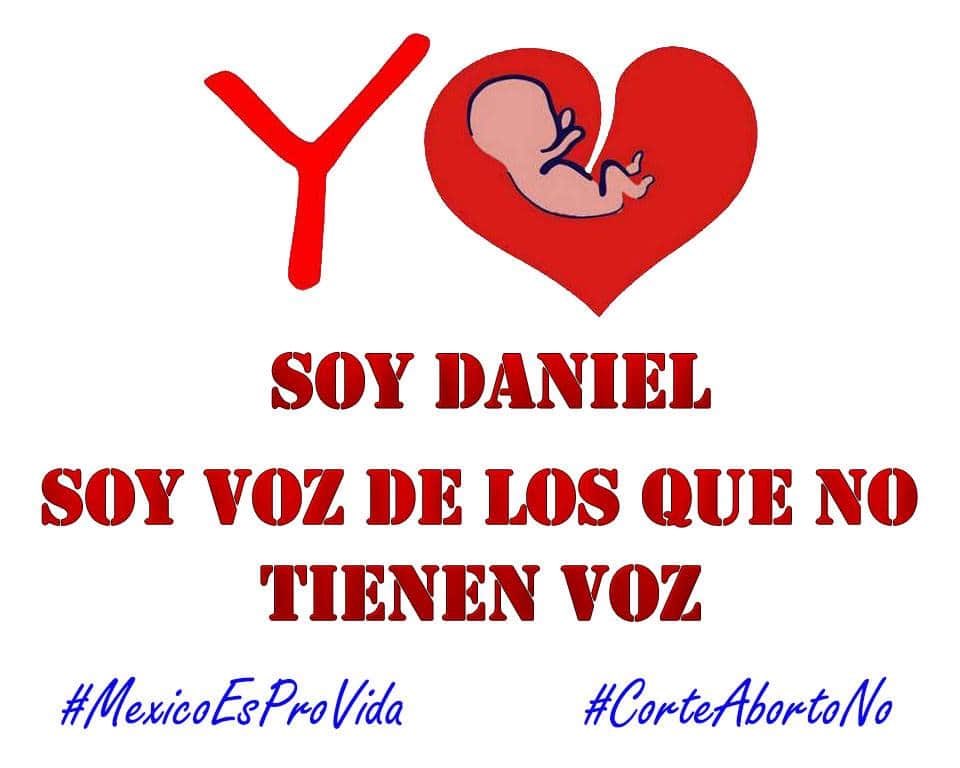 dhanielws's tweet photo. #mexicoesprovida #corteabortono #lanzalasredesenjes2020 https://t.co/ElaRQhWG8p