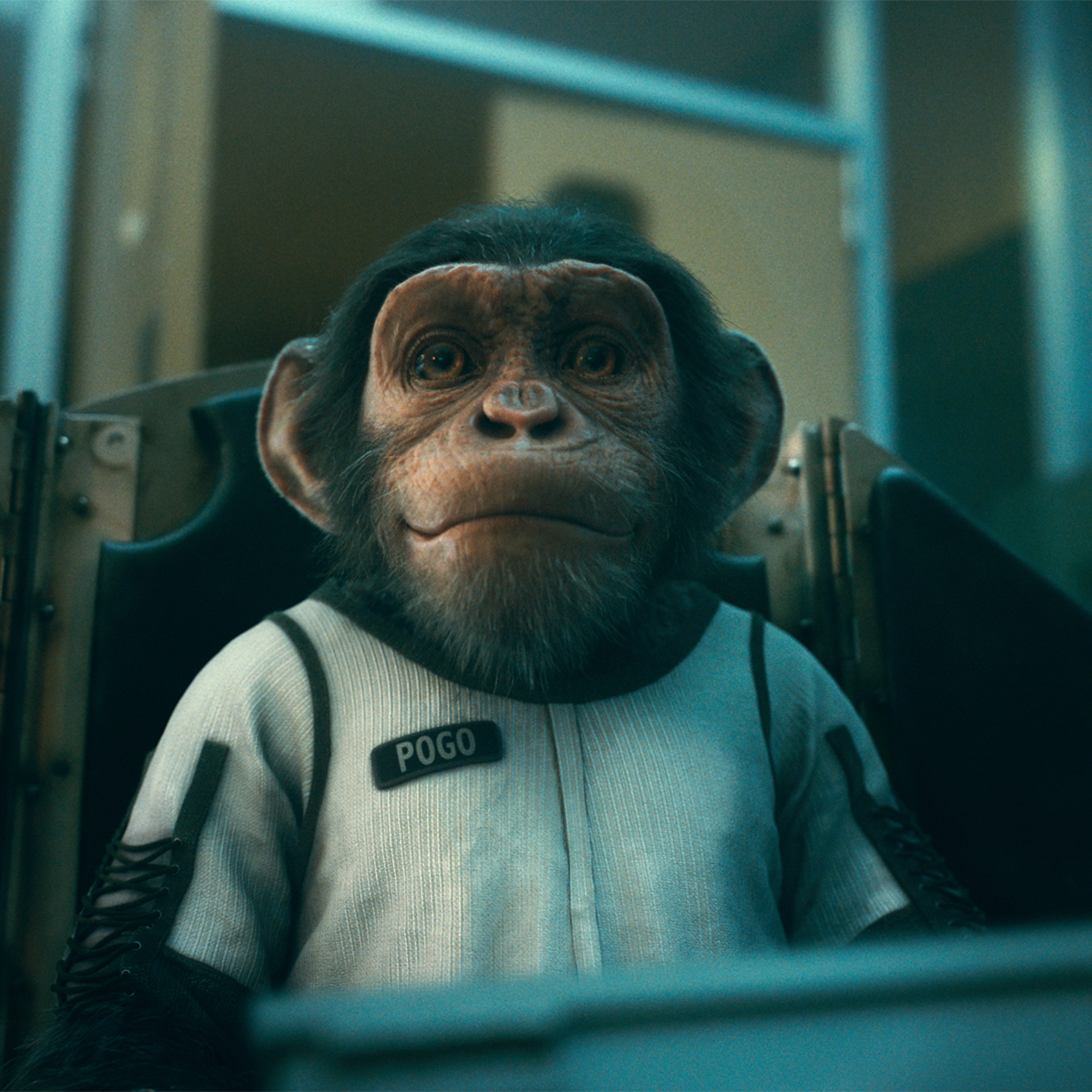 UmbrellaAcad's tweet photo. Baby Pogo has landed. #TheUmbrellaAcademy https://t.co/0BAqZhDFru
