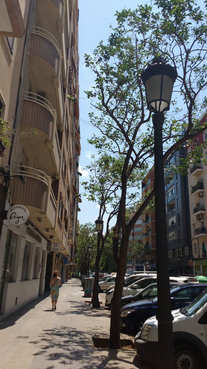 un_monton's tweet photo. ¿De verdad os parece el mejor momento para podar y dejarnos sin sombra? ¿Podéis replanteároslo para el año que viene, por favor? Cada verano es peor...
@AjuntamentVLC 
@ValenciaEscucha 
#valencia #verano #sombra #sol #melanoma #árboles #parquesyjardines https://t.co/qlaG2XV1LC