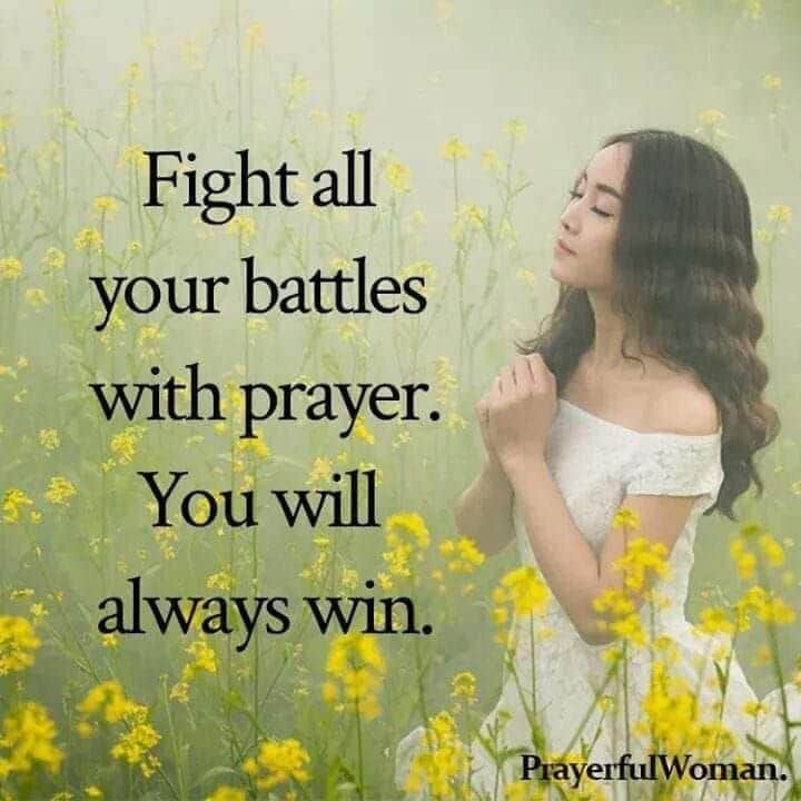 Arlene (@arlene75296902) on Twitter photo 