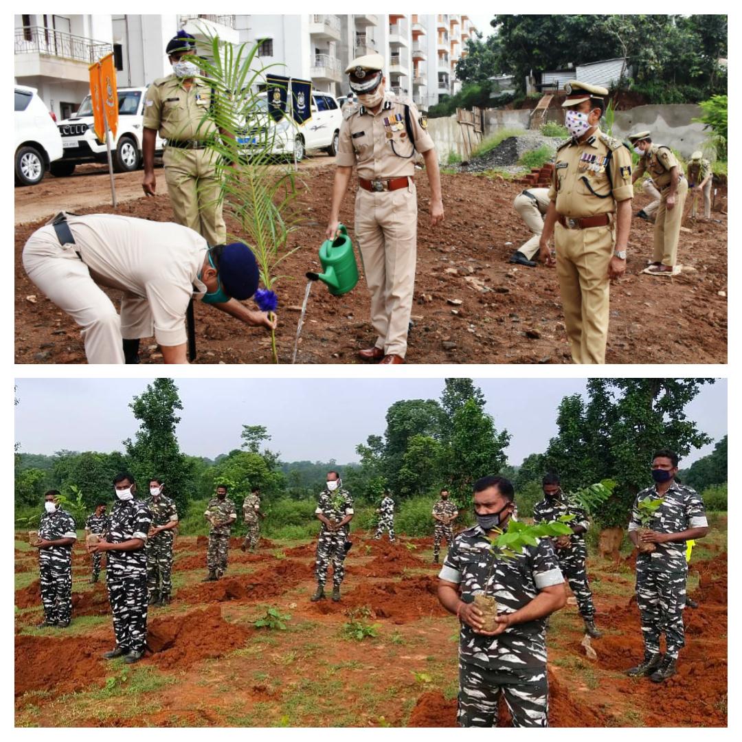#NatureWarriors Massive plantation drive has been undertaken by #Jharkhand Sector CRPF and total 1,53,430 plants have already been planted so far in Jharkhand.
<a href="/crpfindia/">🇮🇳CRPF🇮🇳</a>
