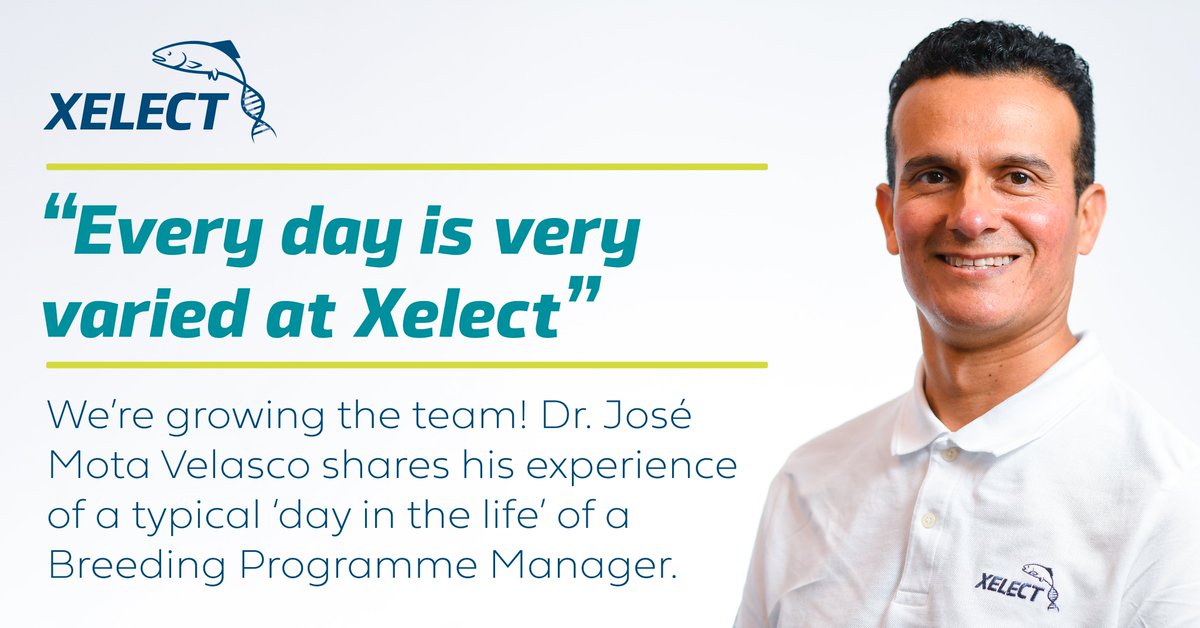 AQUACULTURE VACANCIES: "It's certainly exciting to be part of the dynamic hub at Xelect". José's new blog explores a typical day in the life of a Breeding Programme Manager. (Spoiler alert: there is no typical day) xelect-genetics.com/a-day-in-the-l…