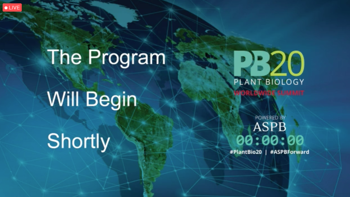 SecuringOurFood's tweet photo. Students are ready &amp; excited to be joining #PlantBio20 this year! Looking forward to some interesting talks &amp; networking events 🌱🌾🧑‍💼🤝 

#VTREEL #VirtualVTREEL #SecuringOurFood #ASPBForward https://t.co/f732eyBr7G