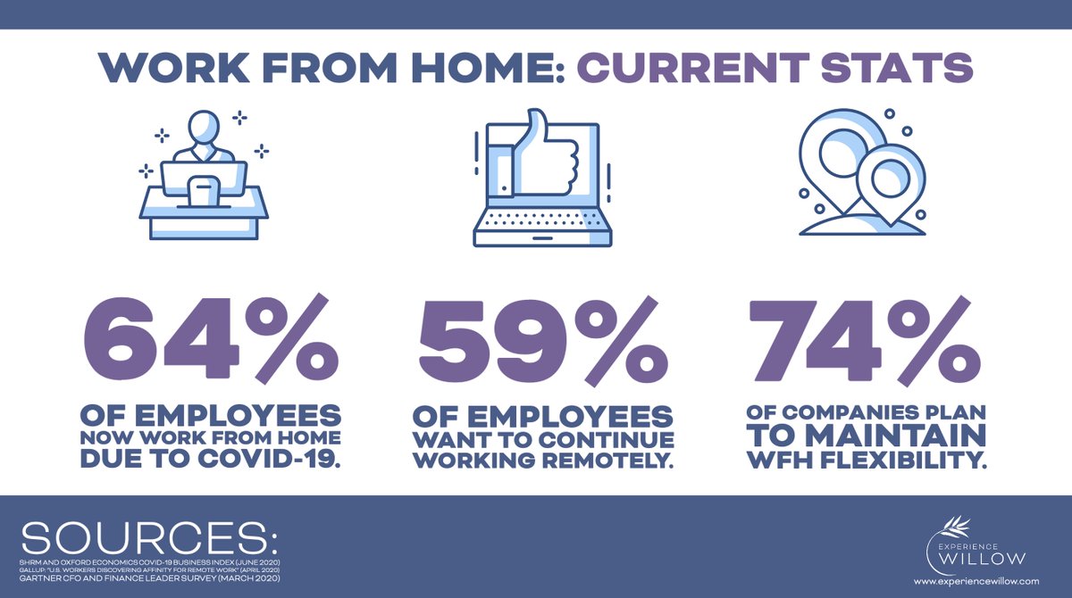 Experience Willow tweet media