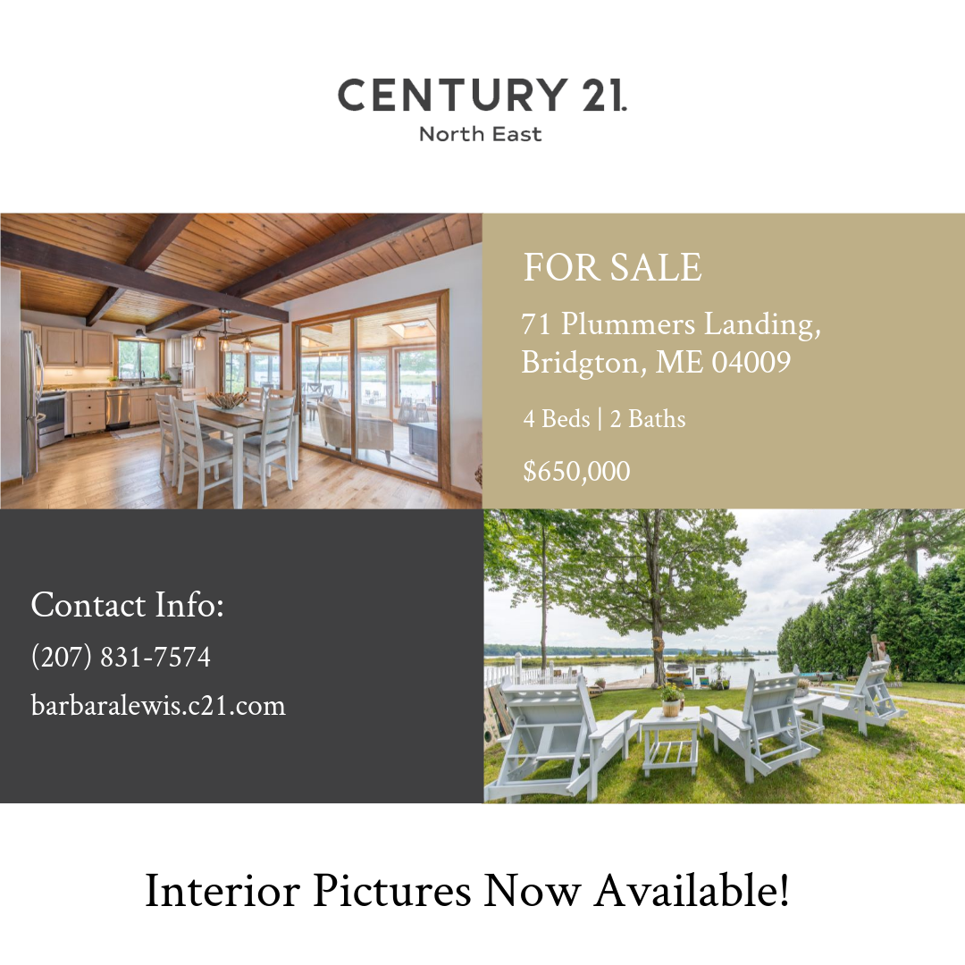 Barbara Lewis tweet media