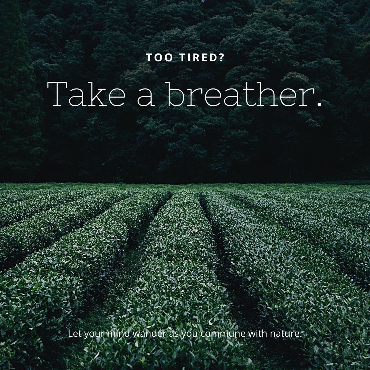 SomalTheaman's tweet photo. By consuming less and conserving more, get inspired to make the world a better place with these environmental friendly habits; start from home: #MyEnvironmentMyK #saveplanet
•Conserve water
•Cut packaging and food waste
•Save fuel
•Use less paper
•Use less electricity https://t.co/fLqNCrfq90