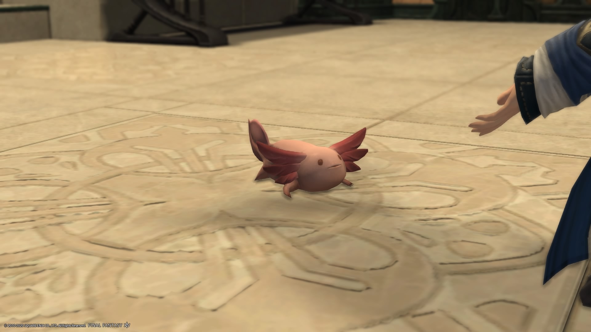 Uka 漁師リテイナーがウーパールーパーとファットキャットを連れてきました Ff14 Ps4share T Co 8ppvpdjfvb Twitter