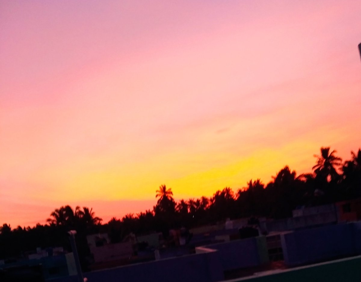 MahesM10's tweet photo. #MyClick
#Eveningmode❤️
#StayHomeStaySafe https://t.co/6L8YhcFLRY