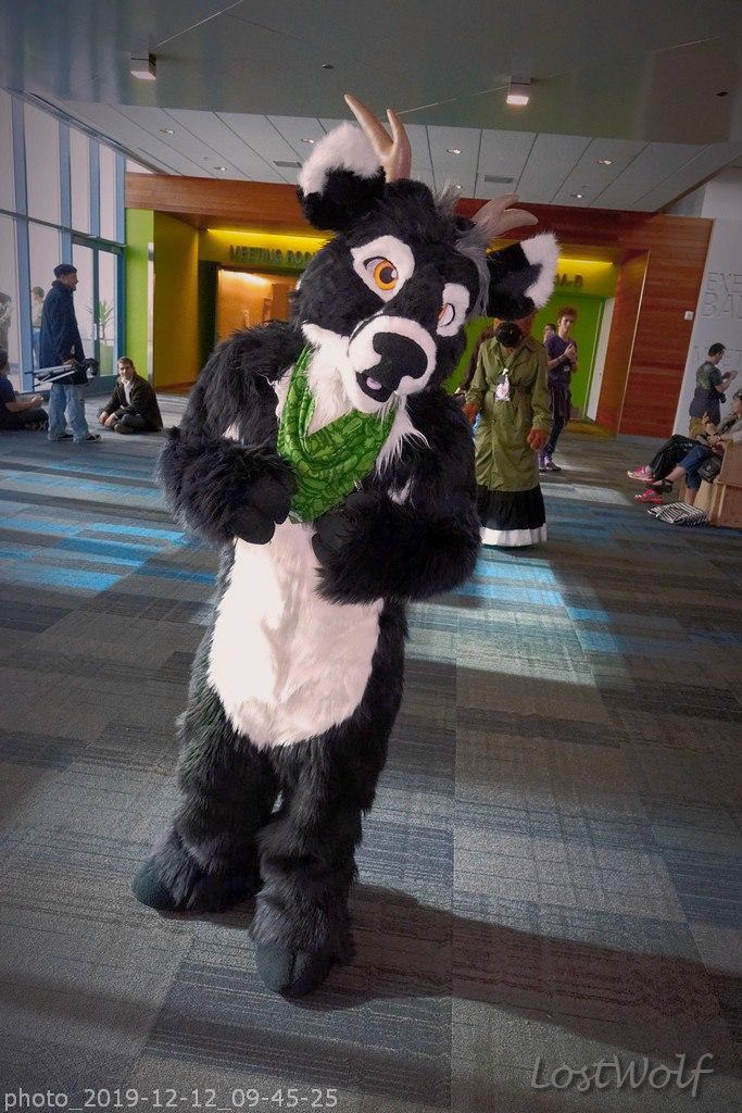 LostWolf321's tweet photo. Happy birthday @Kalethedeer 🎂🎂🎂
📷@furcon #FC2015 https://t.co/9eCRgpyIAN