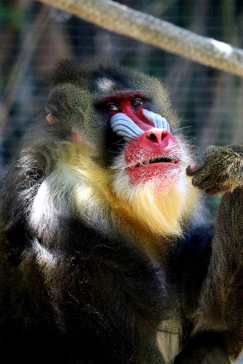 BizDevTim's tweet image. What are you going to do today to make a difference?